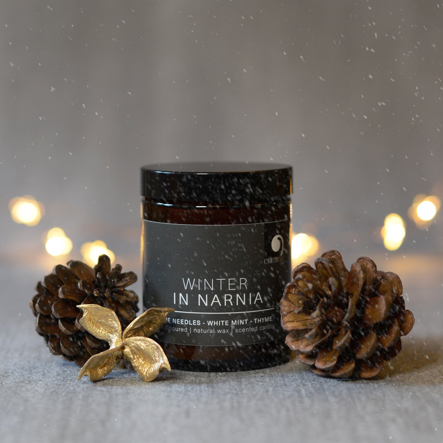 Winter in Narnia - Book Inspired Literary Candle