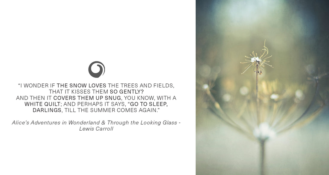 Snuggle down with these wintery quotes