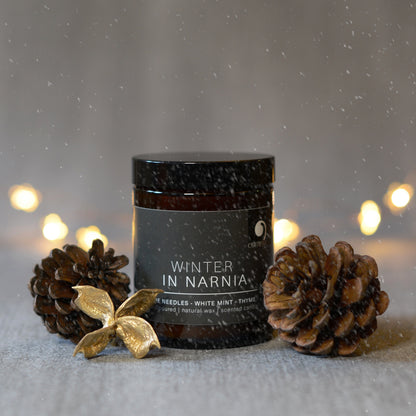 Winter in Narnia - Book Inspired Literary Candle